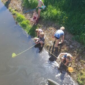 Waterdiertjes onderzoeken - E-lespakket